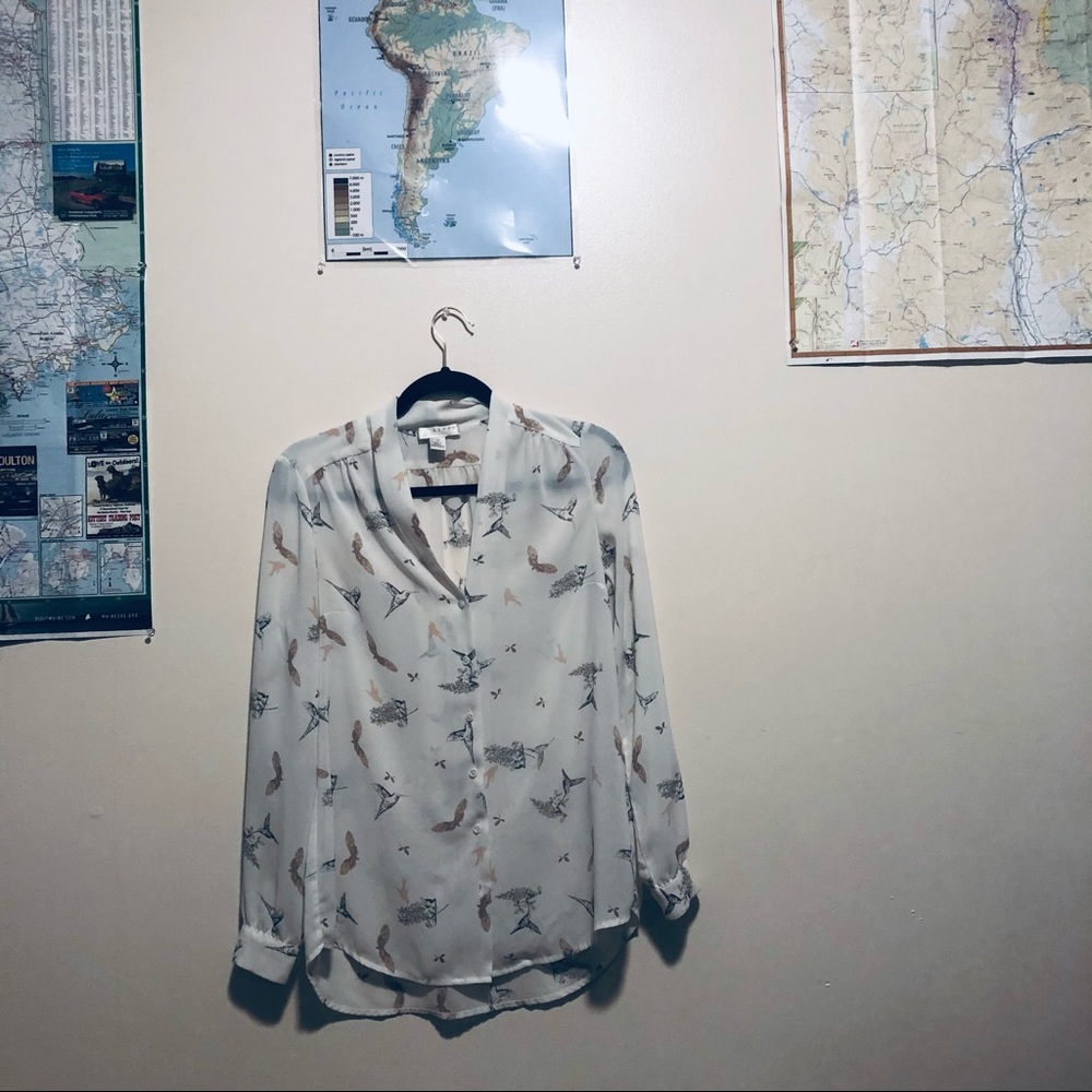 Shear button Down shirt